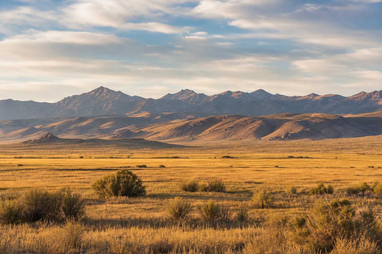 Carson Valley Nevada ranch land with mountains in the distance, AI-generated concept imagery